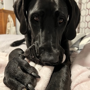 Fundraising Page: Cindy Cullen